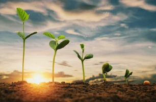 Agrico for Agricultural Development